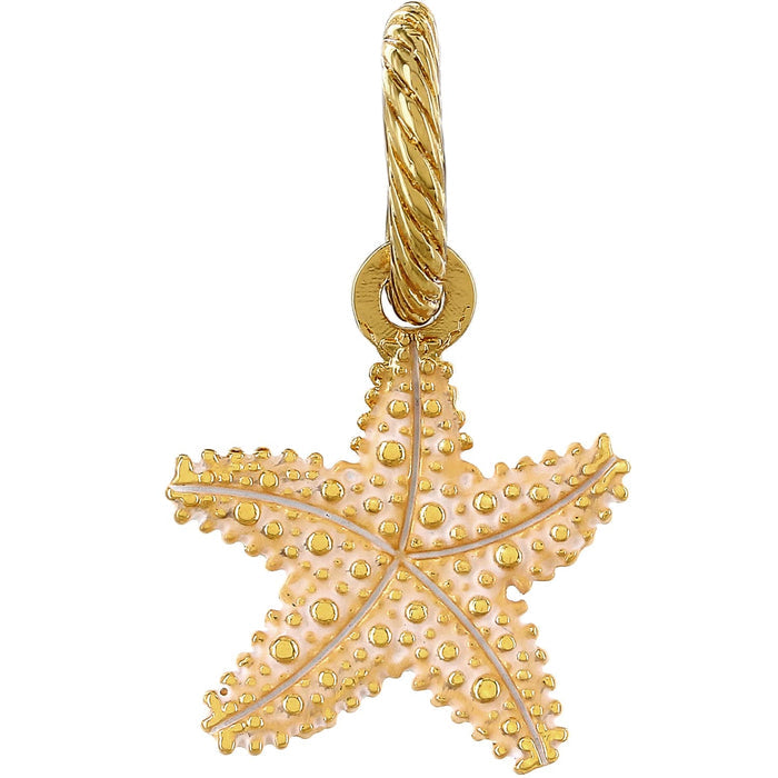 Brighton starfish charm with gold-plated textured finish and twisted rope bail on a white background