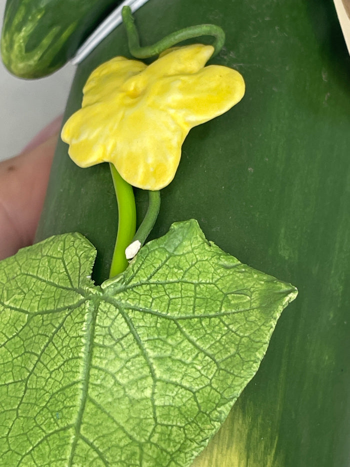 Mary Kirk Kelly Cucumber.