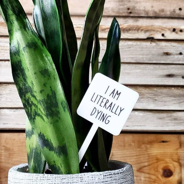 Snarky Plant Marker Stake - I'm Literally Dying - Mad River