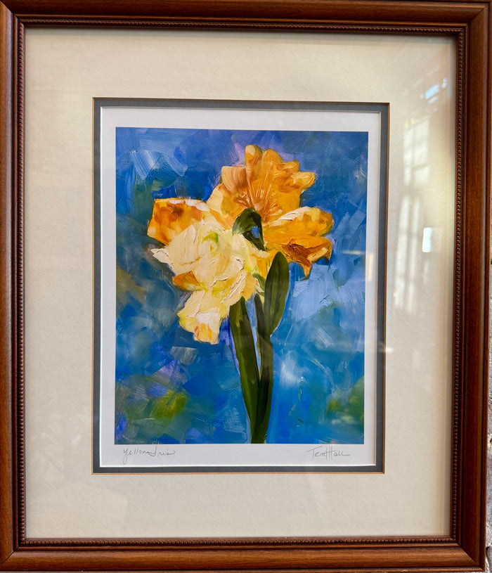 'Yellow Iris Giclee' Print by Terri Hall.