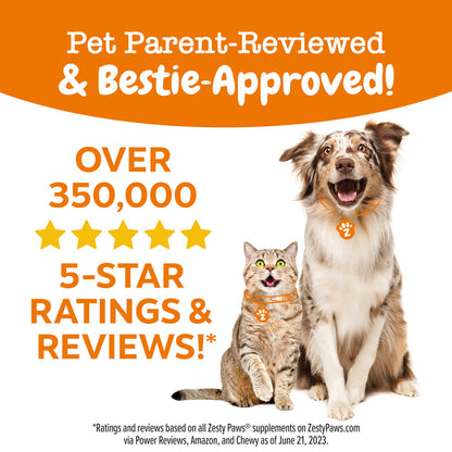 Brown and white dog and orange tabby cat wearing paw-print collars on orange and white background with text.