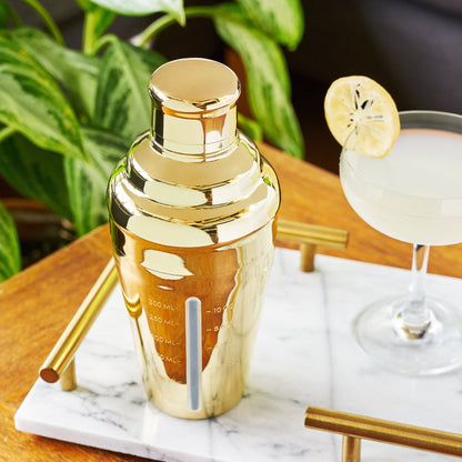 Belmont Measured Cocktail Shaker (Online Only)