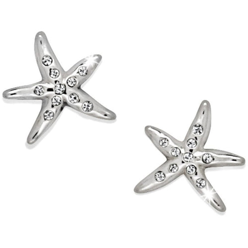 Brighton starfish stud earrings with silver-plated finish and scattered crystal accents on a white background