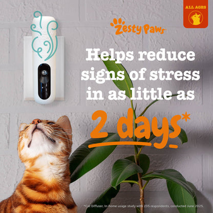 White cat diffuser with teal decorative top mounted on wall next to green plant and orange tabby cat below.