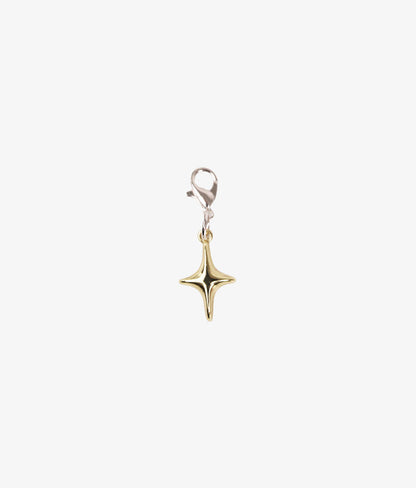 Charm Glitter Fever