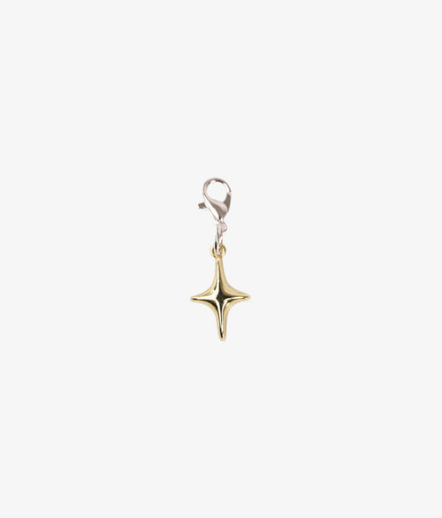 Charm Glitter Fever