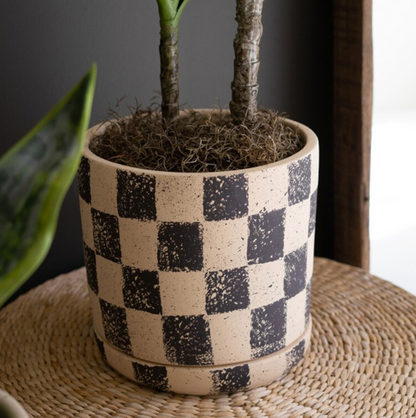 A potted houseplant with two upright stems in a beige ceramic pot with a black checkerboard pattern, placed on a woven round mat against a dark gray background.
