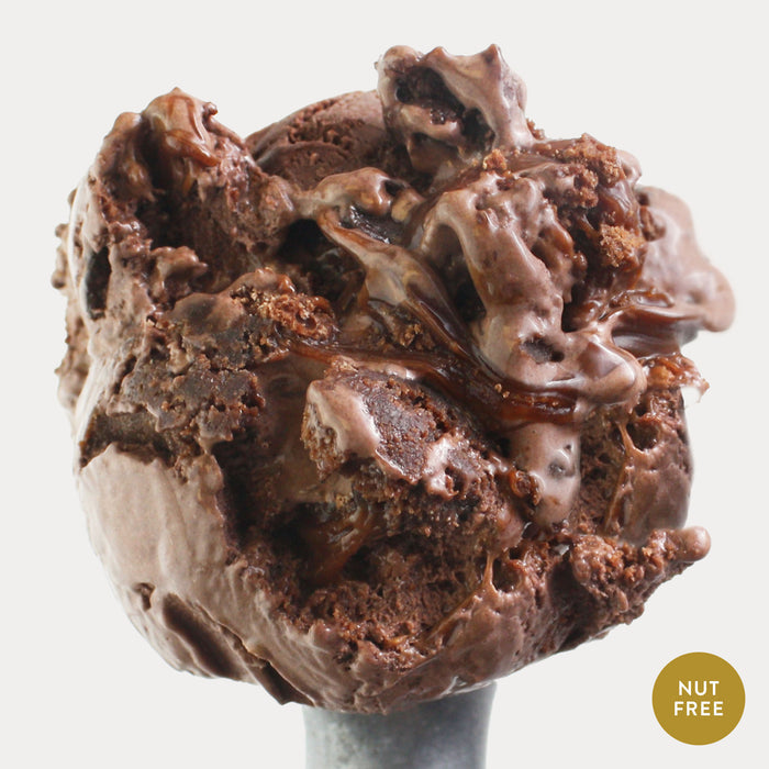 Chocolate Cake Ice Cream - eCreamery