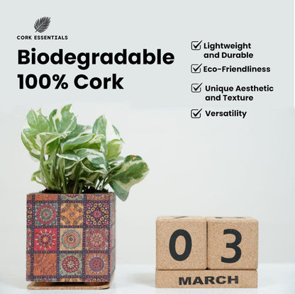 Cork Desk Calendar Large