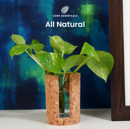 Cork vase with a plant against a blue abstract background, featuring the Cork Essentials brand.