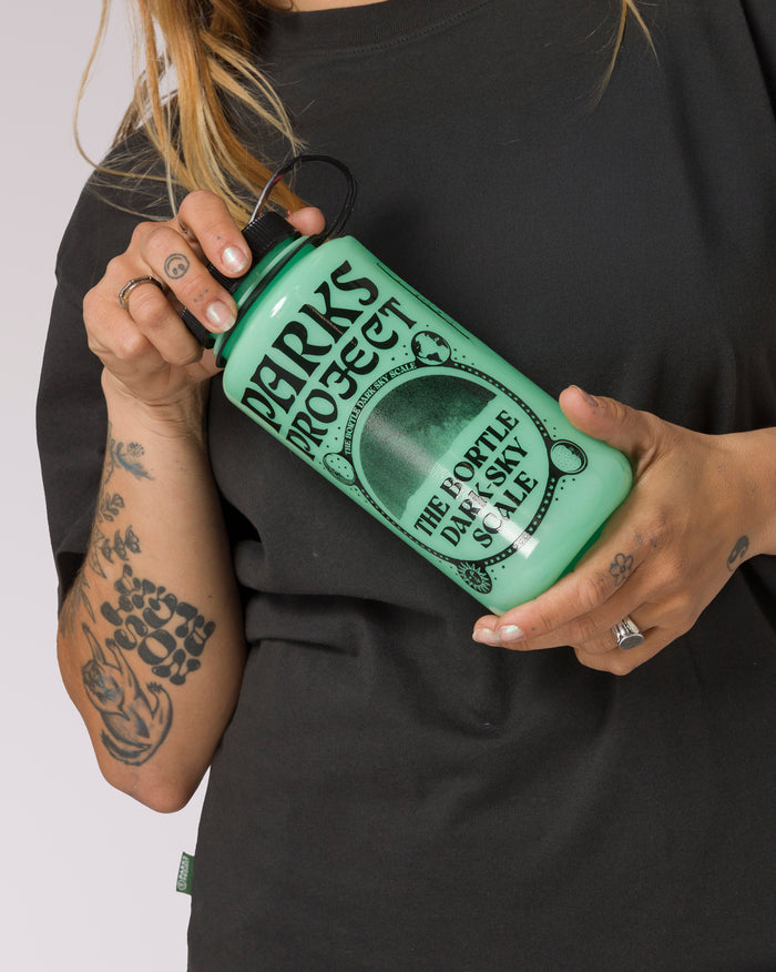 Shop Dark Sky Recycled Glow-In-The-Dark Water Bottle Inspired by Parks | green