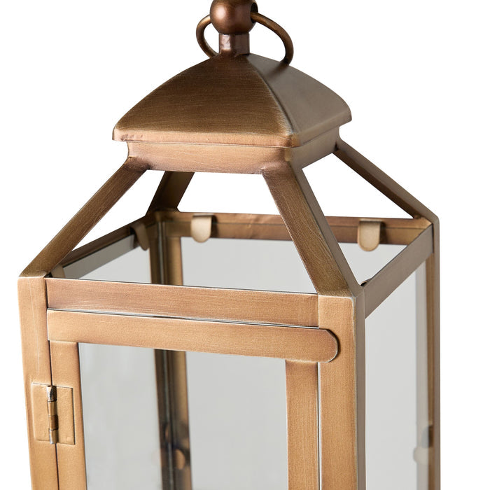 Darwin Lantern