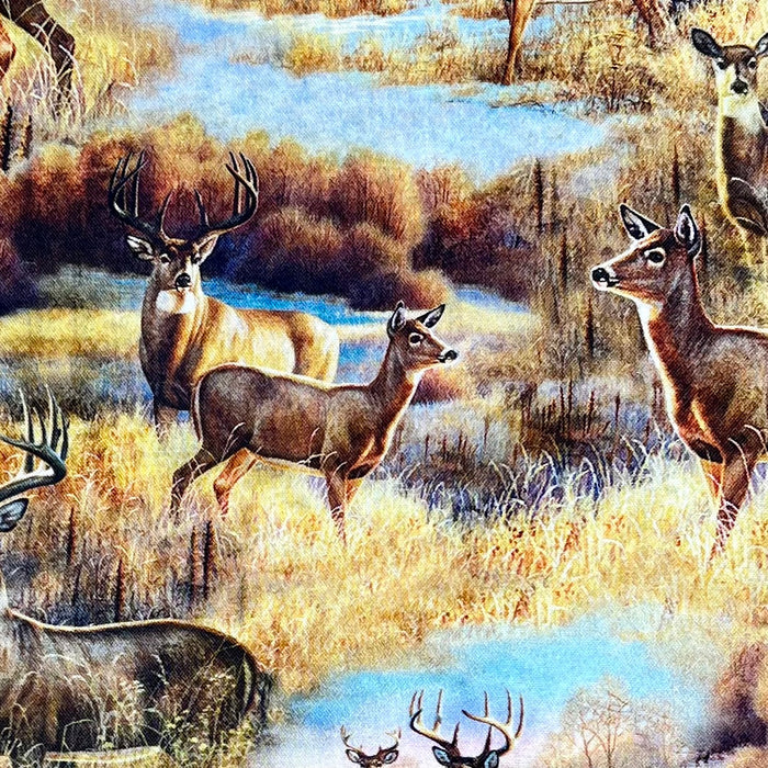 DEER MEADOW 27602-X