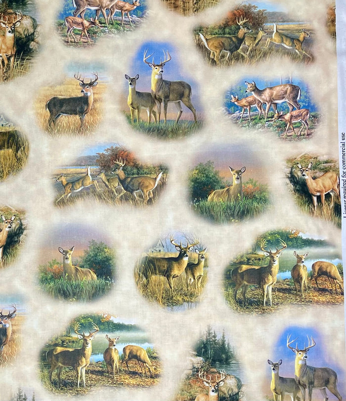 DEER VALLEY DEER VIGNETTES
