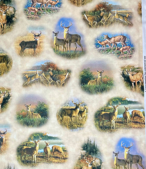 DEER VALLEY DEER VIGNETTES
