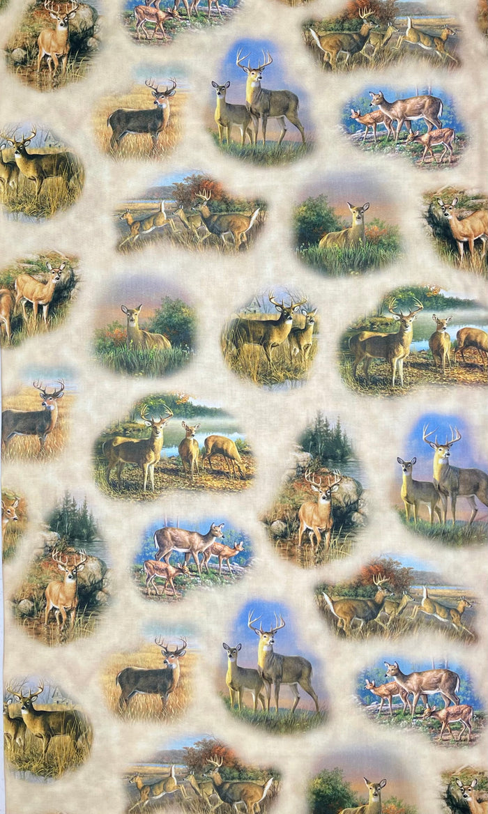 DEER VALLEY DEER VIGNETTES