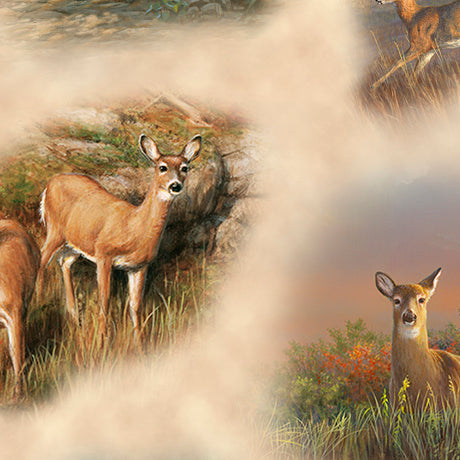 DEER VALLEY DEER VIGNETTES