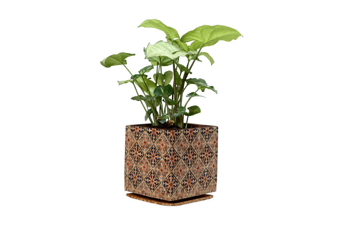 Diamond Print Planter