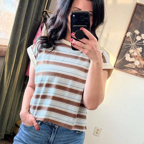 Dusty Blue/Brown Stripe Knit Top