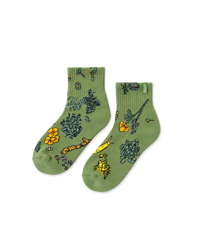 Shop Forest Forager Quarter Sock 2 Pack Inspired by Parks | cream-and-green