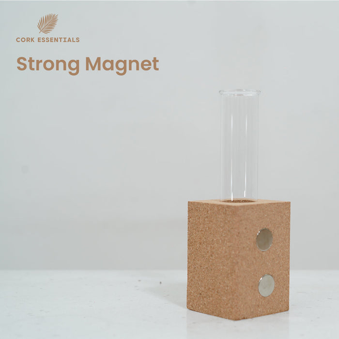 Fridge Magnet Planter Growth Mindset With Test Tube