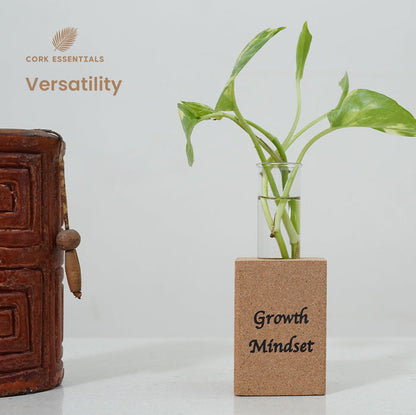 Fridge Magnet Planter Growth Mindset With Test Tube