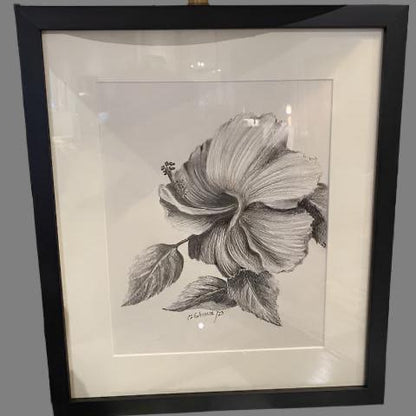 Hibiscus  Study By Clara Gutierrez.