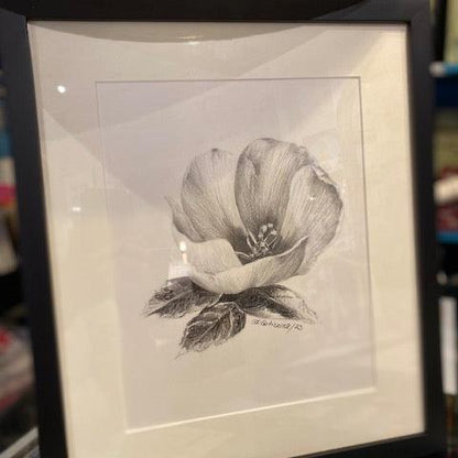 Hibiscus  Study By Clara Gutierrez.