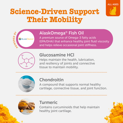 Infographic showing four joint support ingredients for cats: AlaskOmega Fish Oil, Glucosamine HCL, Chondroitin, and Turmeric