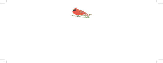Ibis Flat Note Cards & Envelopes.