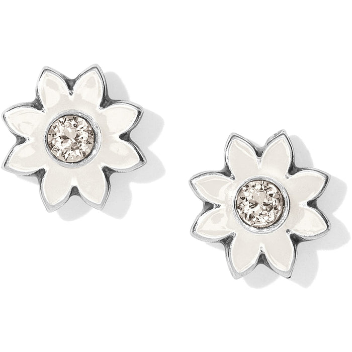 Brighton stud earrings with white enamel flower petals and crystal centers in silver-plated finish on a white background