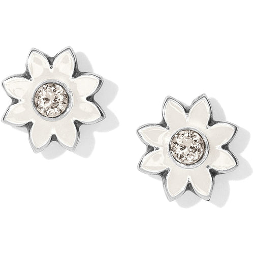 Brighton stud earrings with white enamel flower petals and crystal centers in silver-plated finish on a white background