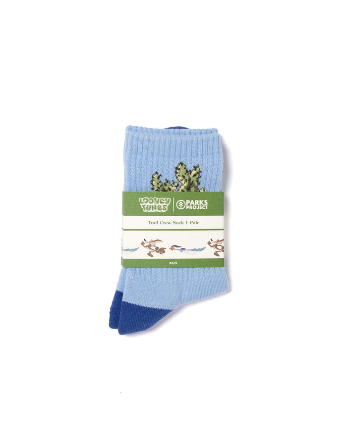 Shop Looney Tunes x Parks Project Trail Sock Inspired by Desert Parks | blue