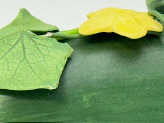 Mary Kirk Kelly Cucumber.