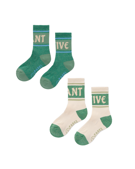 Shop Plant Native Trail Crew Sock 2 Pack Inspired by National Parks