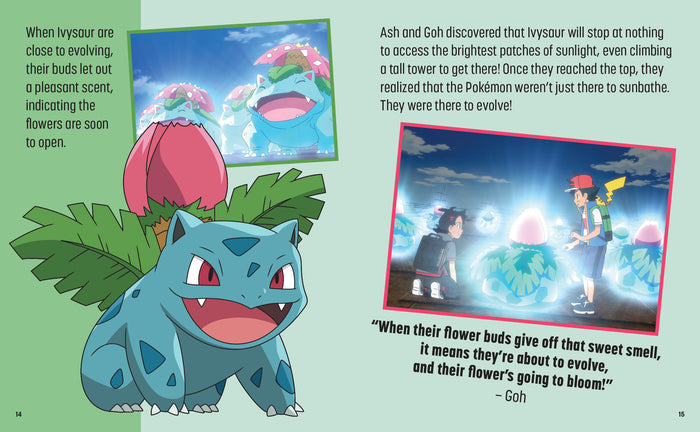 Pokemon: Trainer's Mini Exploration Guide to Kanto