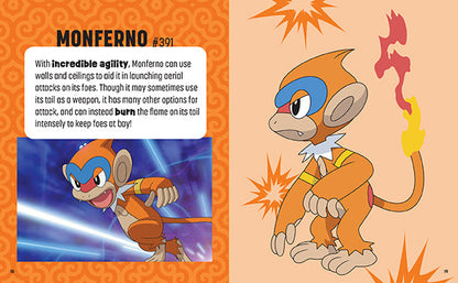 Pokemon: Trainer's Mini Exploration Guide to Sinnoh