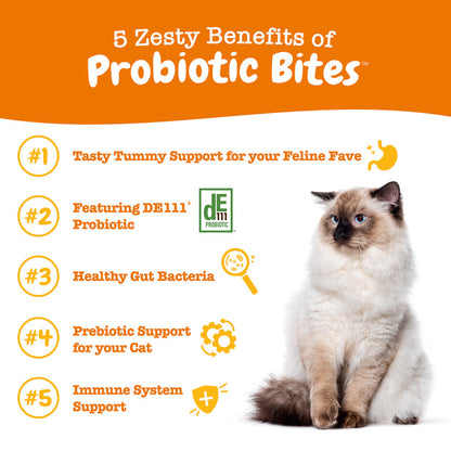 Siamese kitten sitting against orange and white background with text listing five benefits of probiotic bites for cats.
