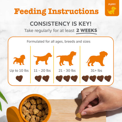 Feeding instructions for puppy probiotics showing dosage by weight with silhouettes and heart-shaped treats in an orange bowl