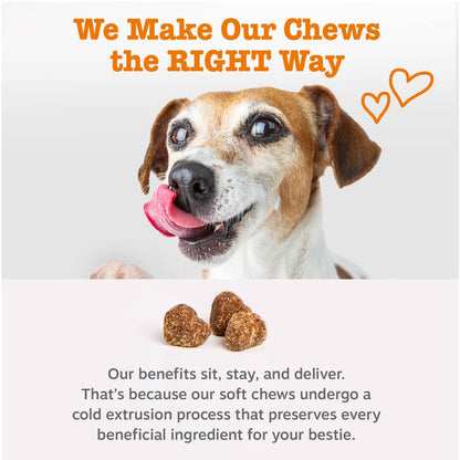 Brown and tan puppy with pink tongue next to four small brown probiotic bite treats on white background.