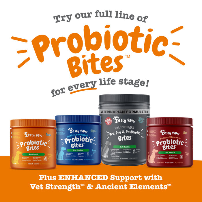 Four bottles of Zesty Paw probiotic bites in orange, blue, gray, and burgundy containers with white labels.