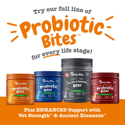 Four bottles of Zesty Paw probiotic bites in orange, blue, gray, and burgundy containers with white labels.