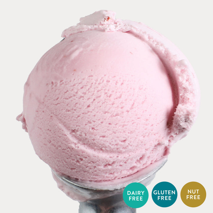 Raspberry Sorbet (Dairy Free) - eCreamery