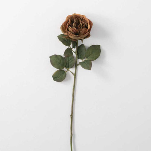 RUST GARDEN ROSE STEM - SULLIVANS