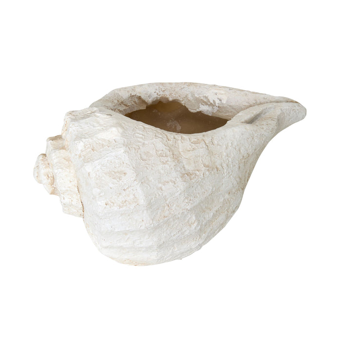 Seashell Planter