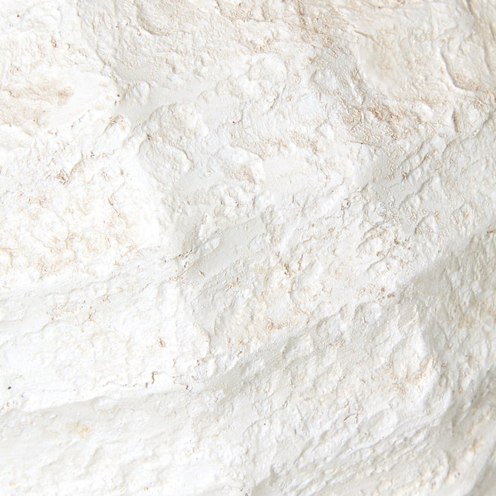 Seashell Planter