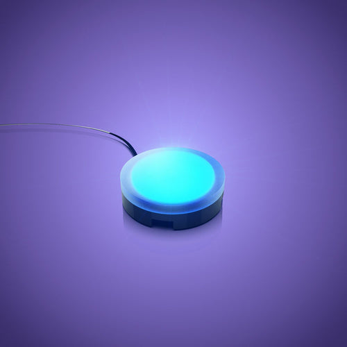 Solar Light - Blue 30cm (2 Pack)