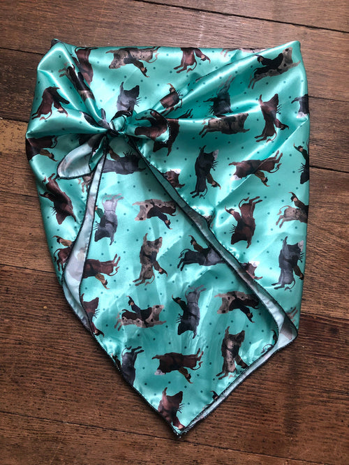 Turquoise Bull Rider Youth Wild Rag
