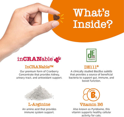 Hand holding small brown pet treat with text and icons displaying product ingredients including cranberry concentrate, probio