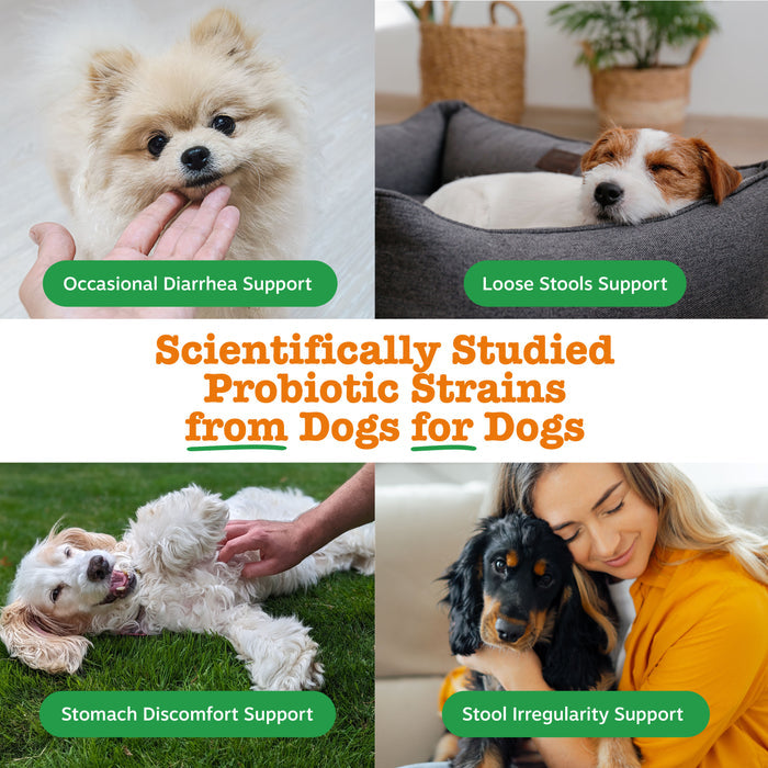 Promotional graphic for a product with images of dogs and text about probiotic strains for dogs.